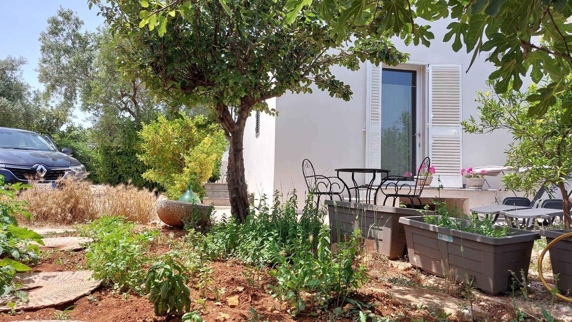 All'Ombra Dell'Ulivo Monopoli Exteriér fotografie